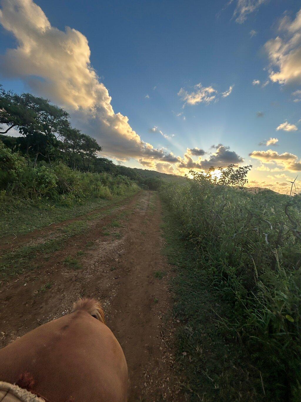 Review photo