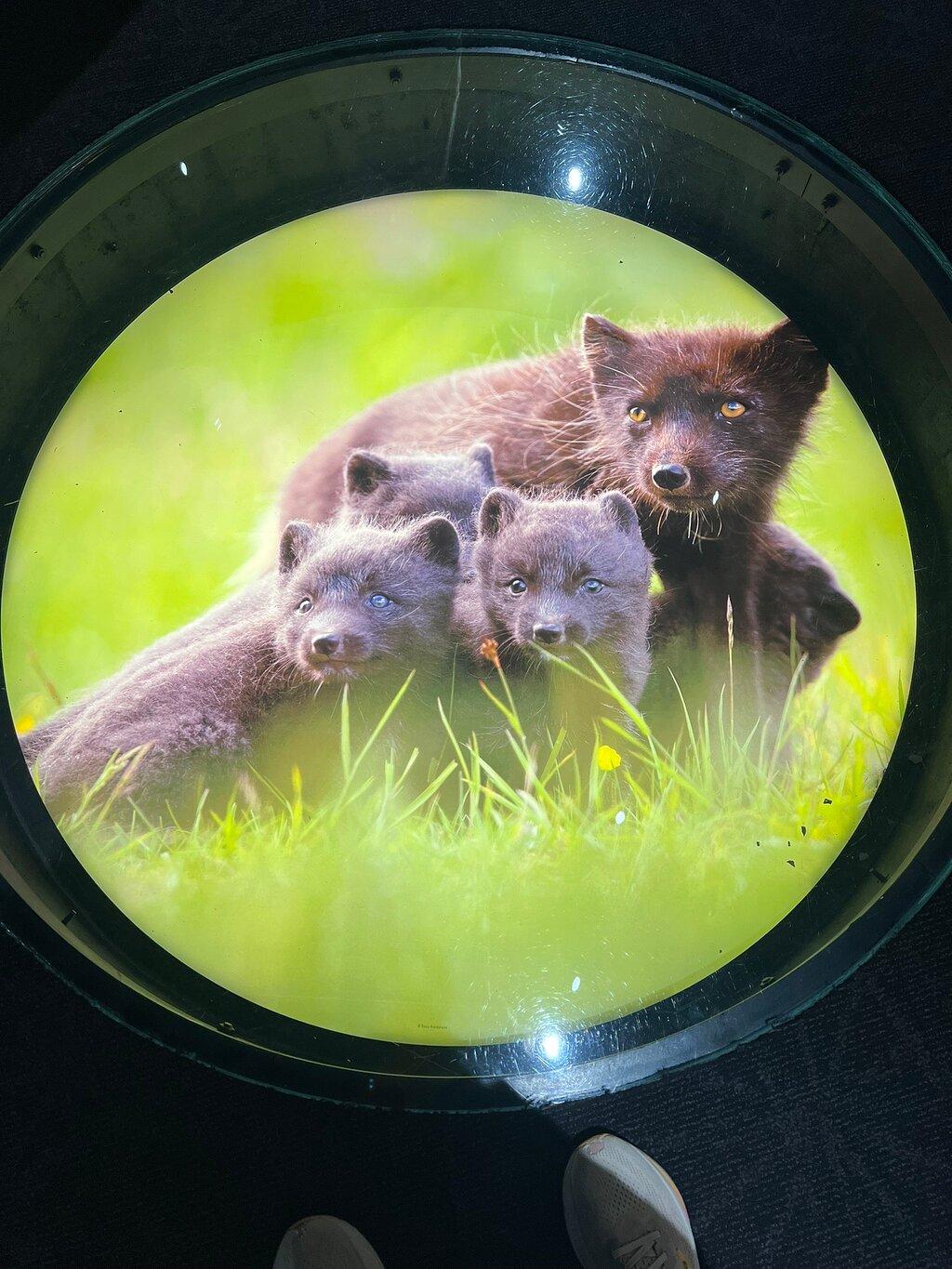Review photo
