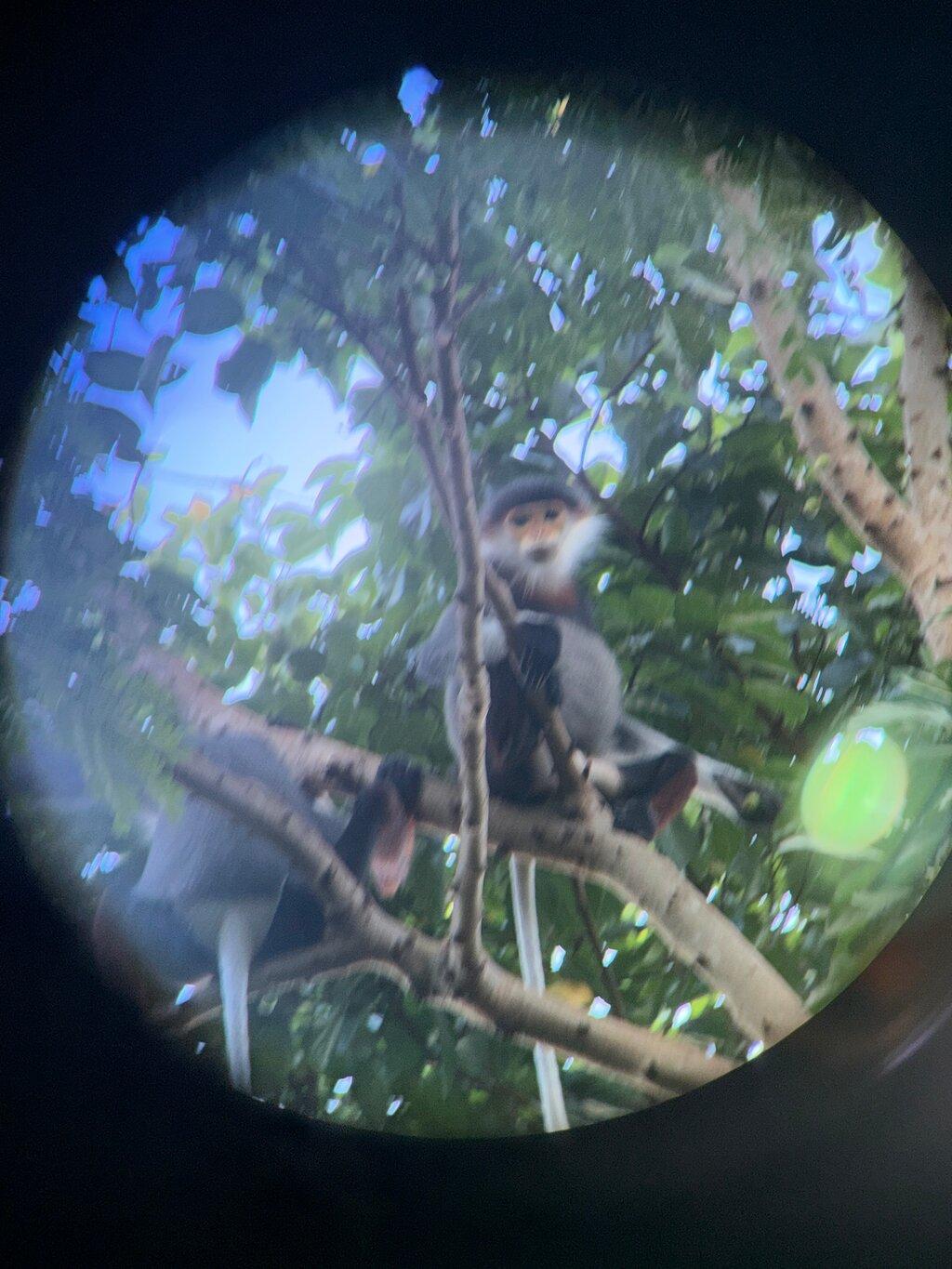 Review photo