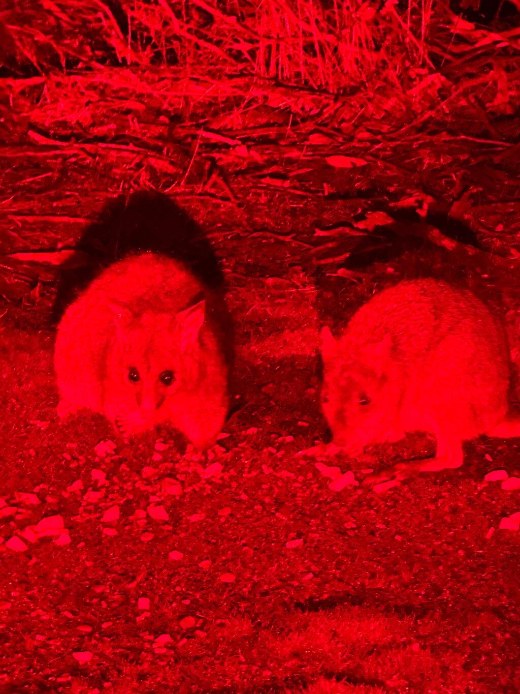 Review photo