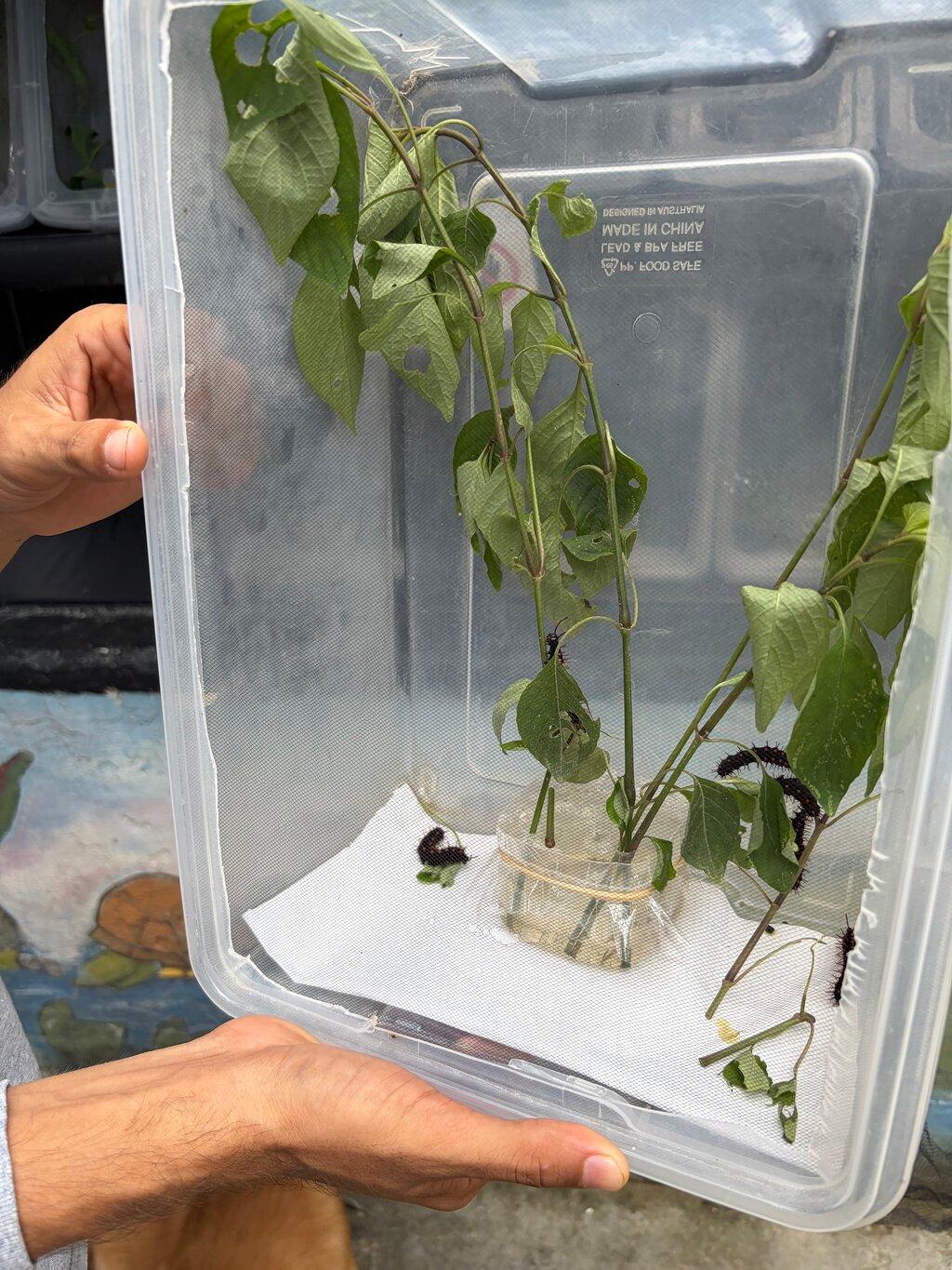 Review photo