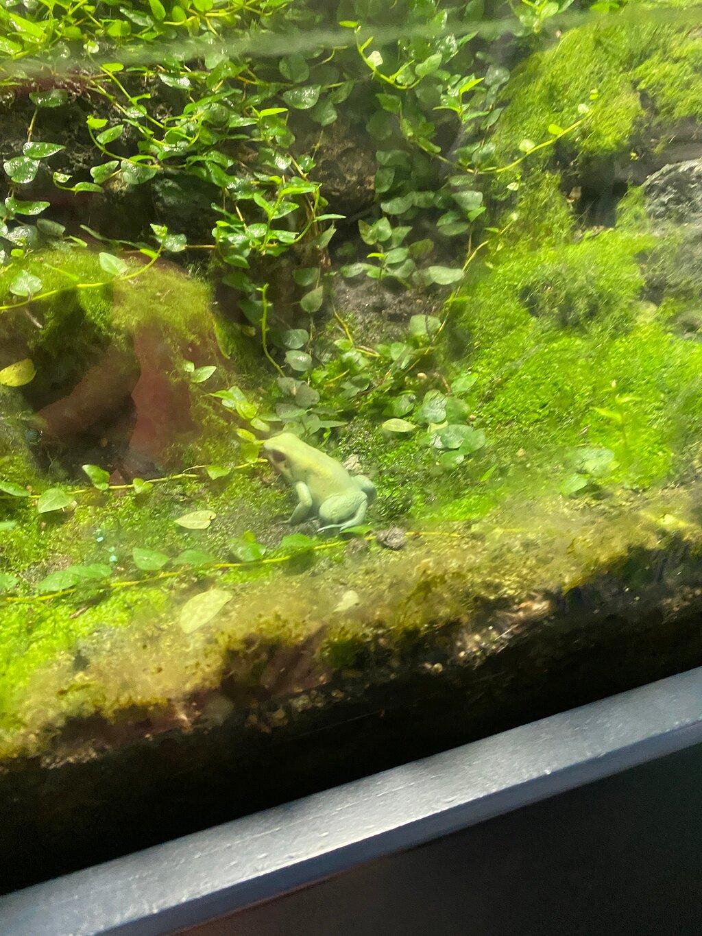 Review photo