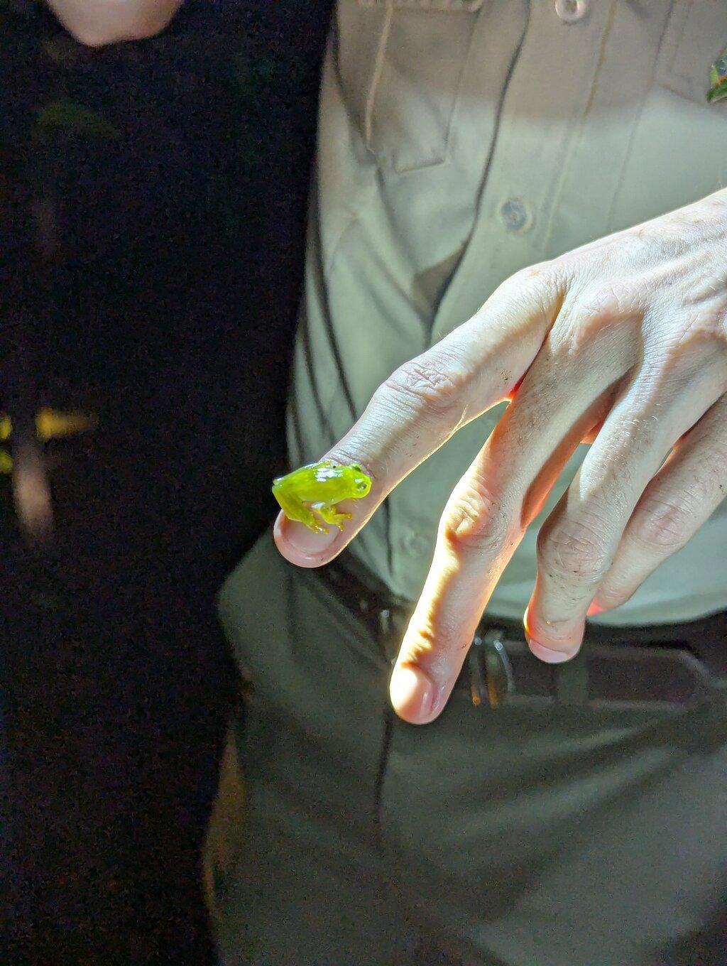 Review photo