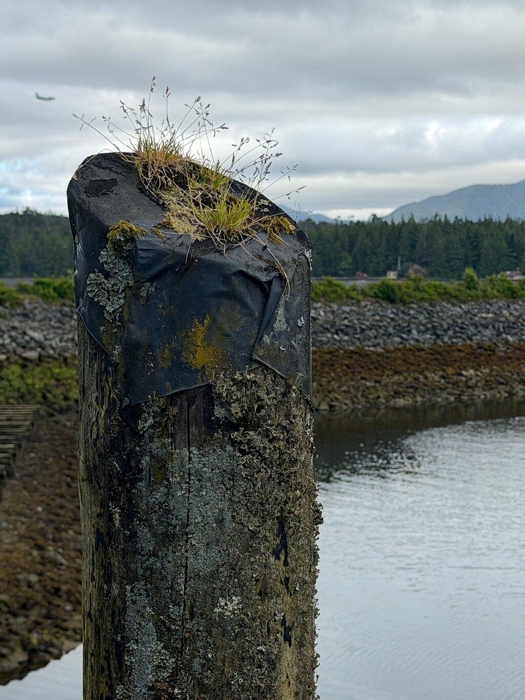 Review photo