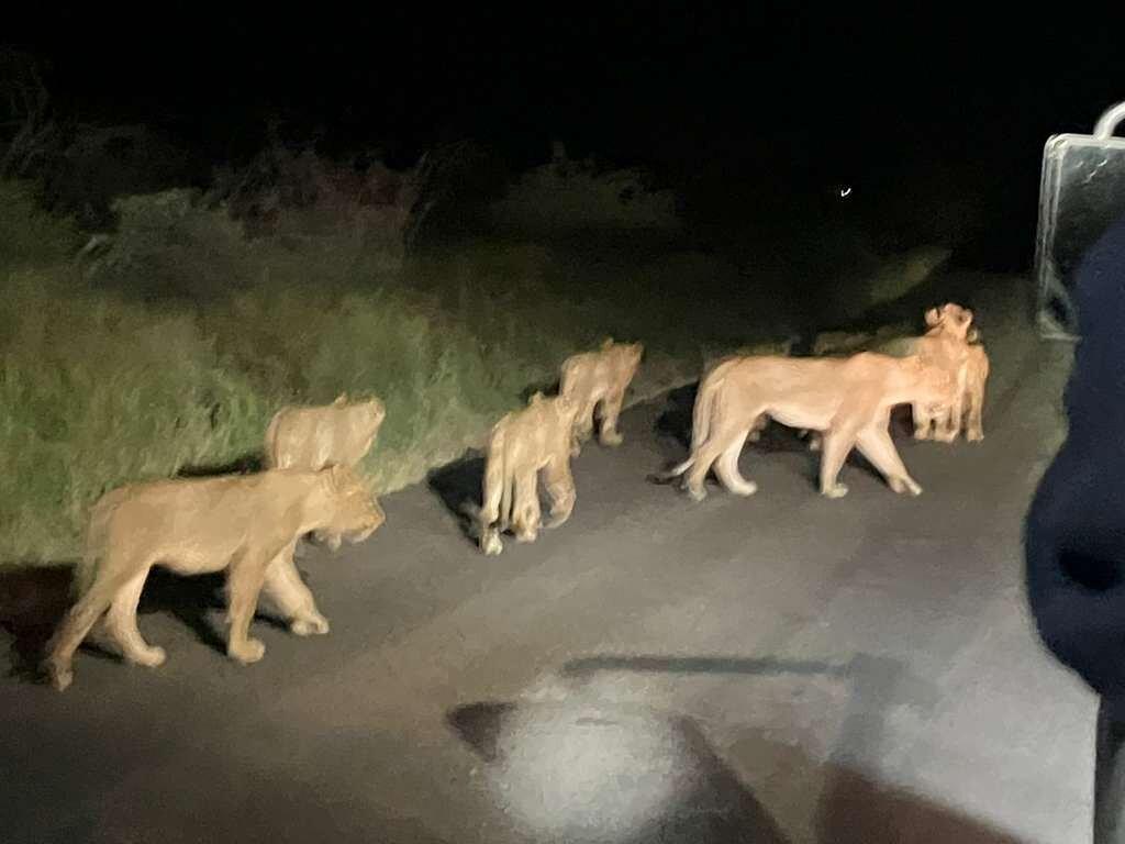 Review photo
