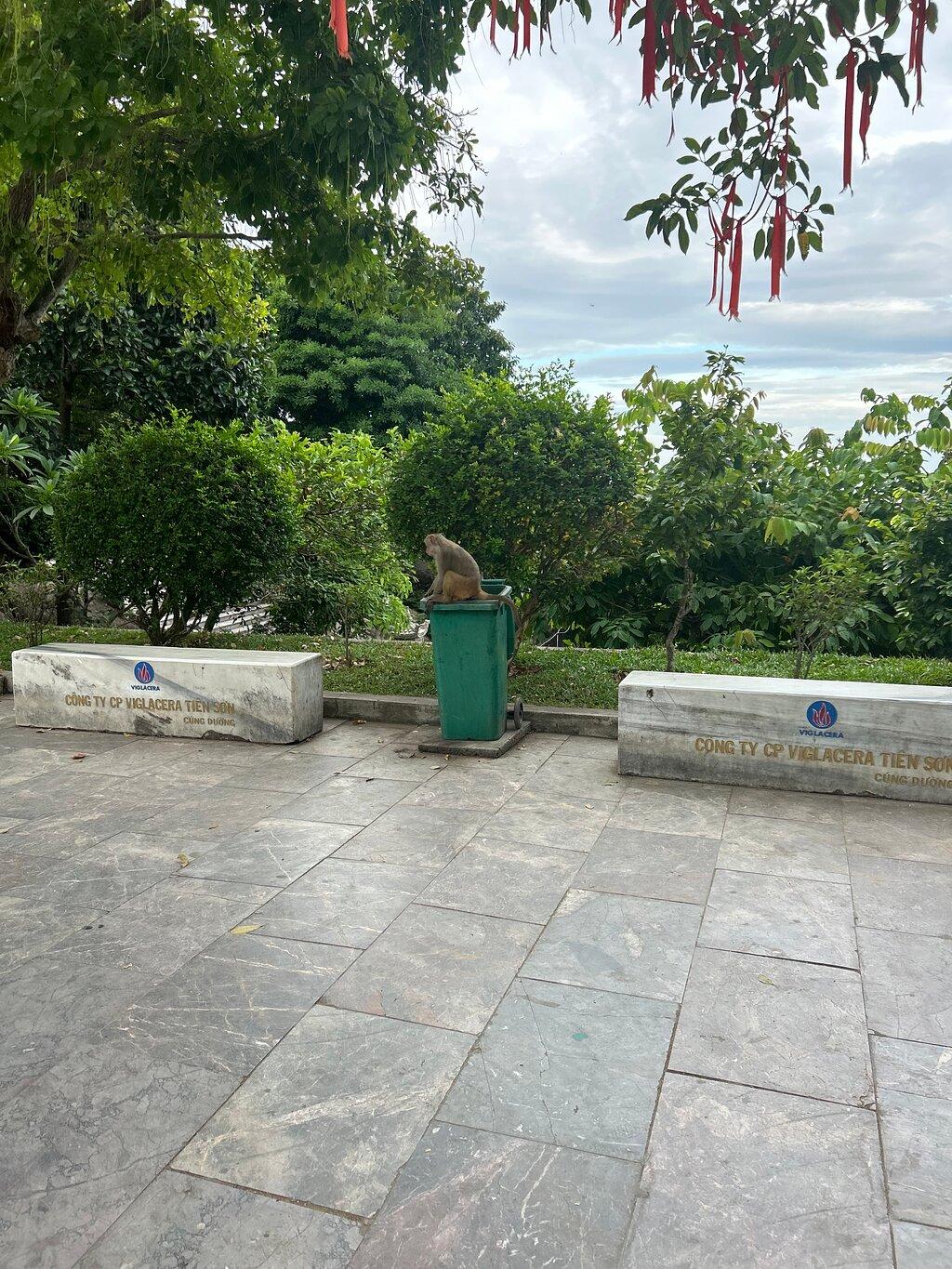 Review photo