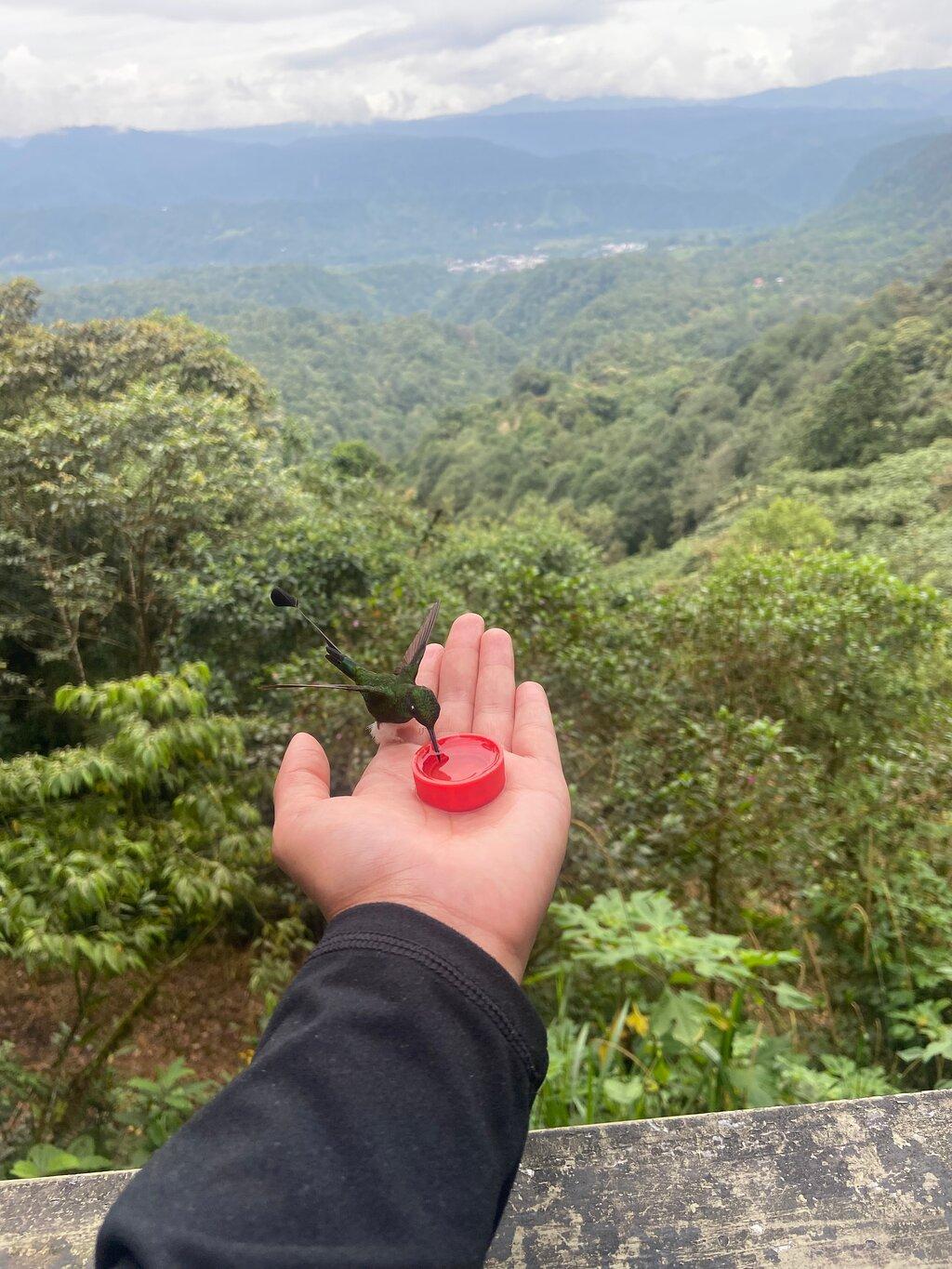 Review photo
