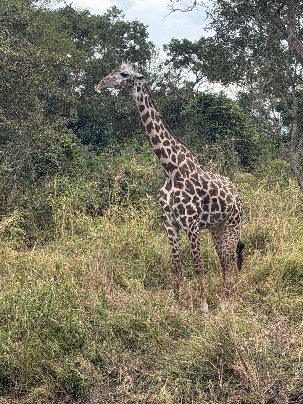 Review photo