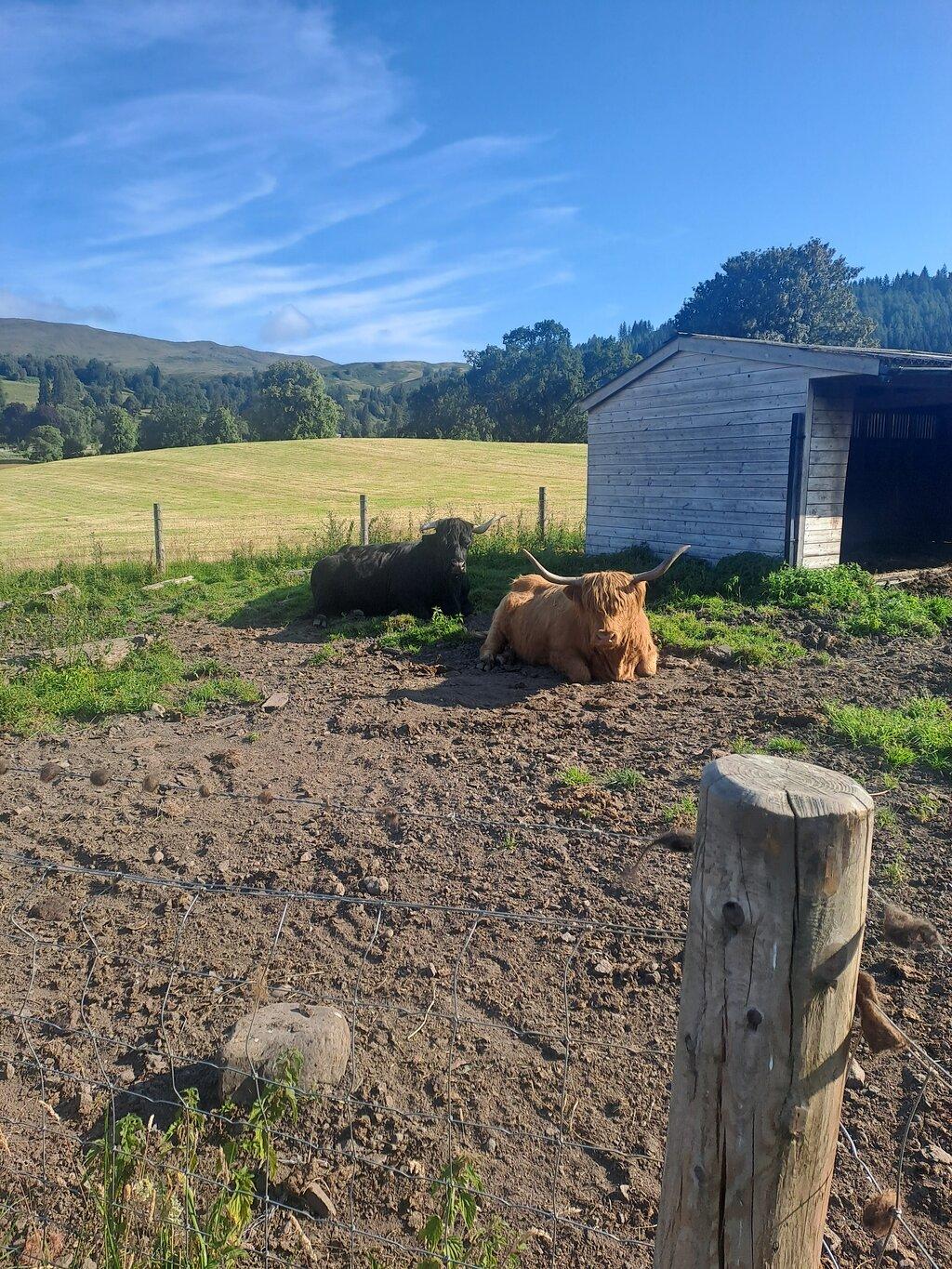 Review photo
