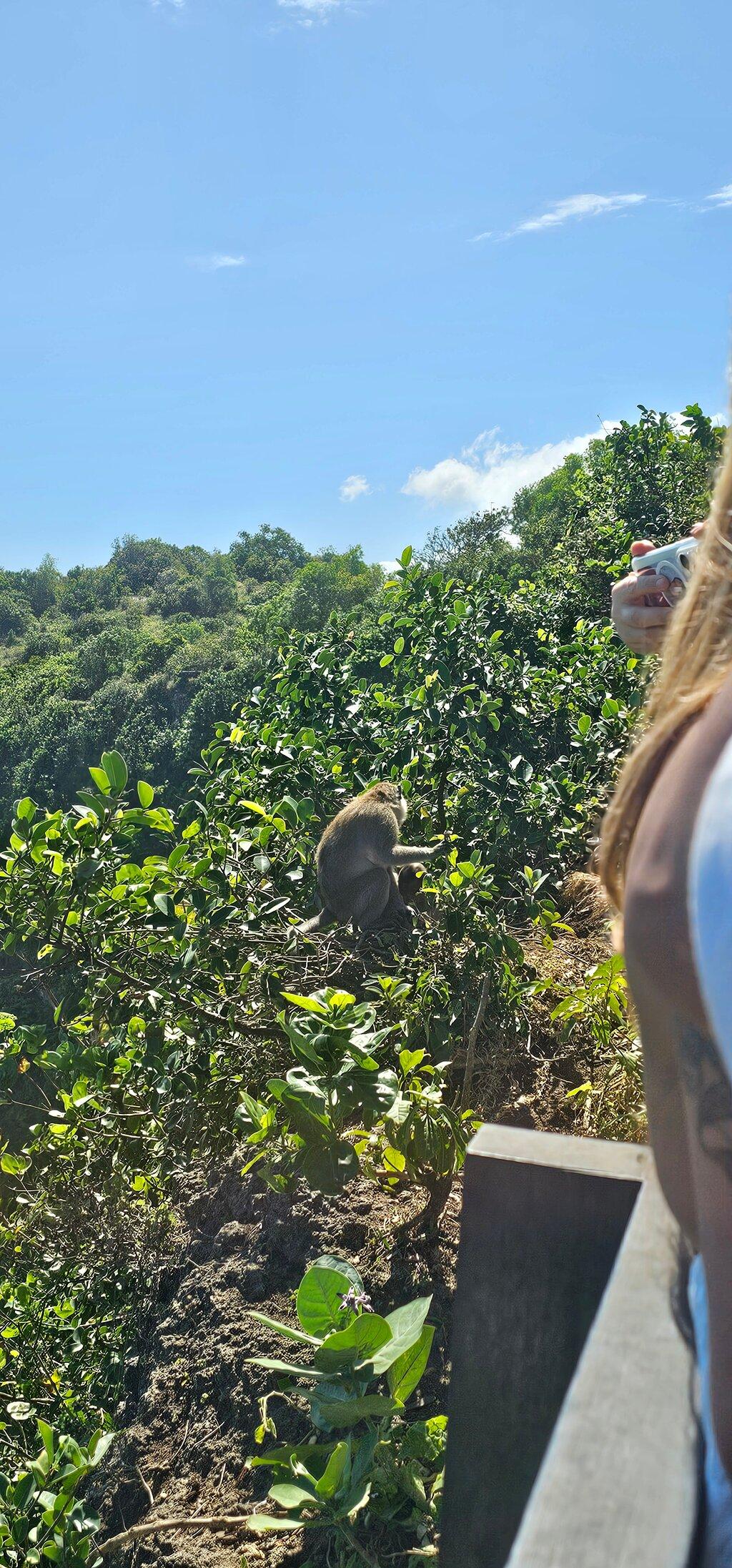 Review photo