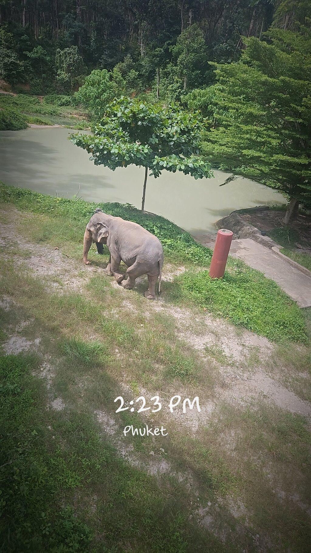 Review photo