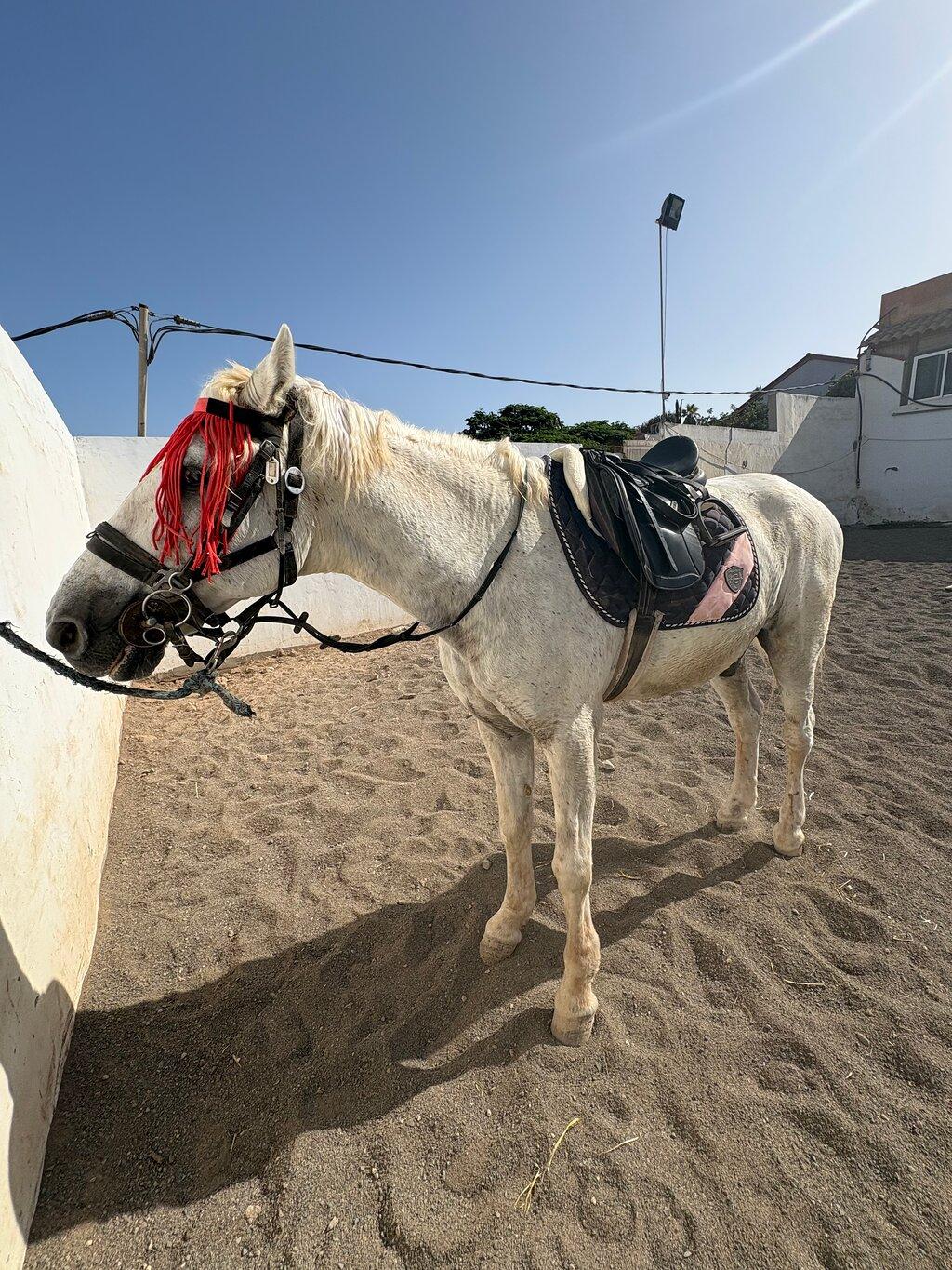 Review photo