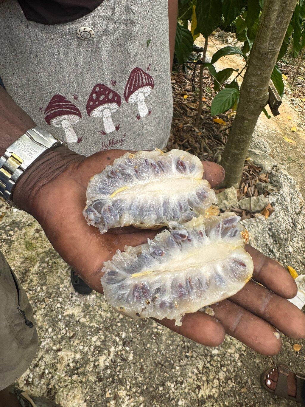 Review photo