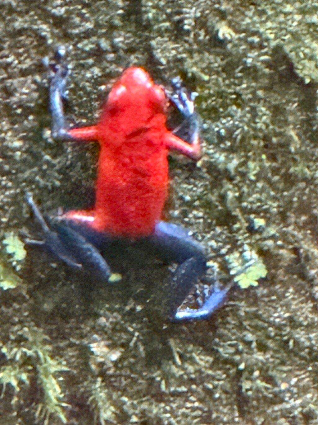 Review photo