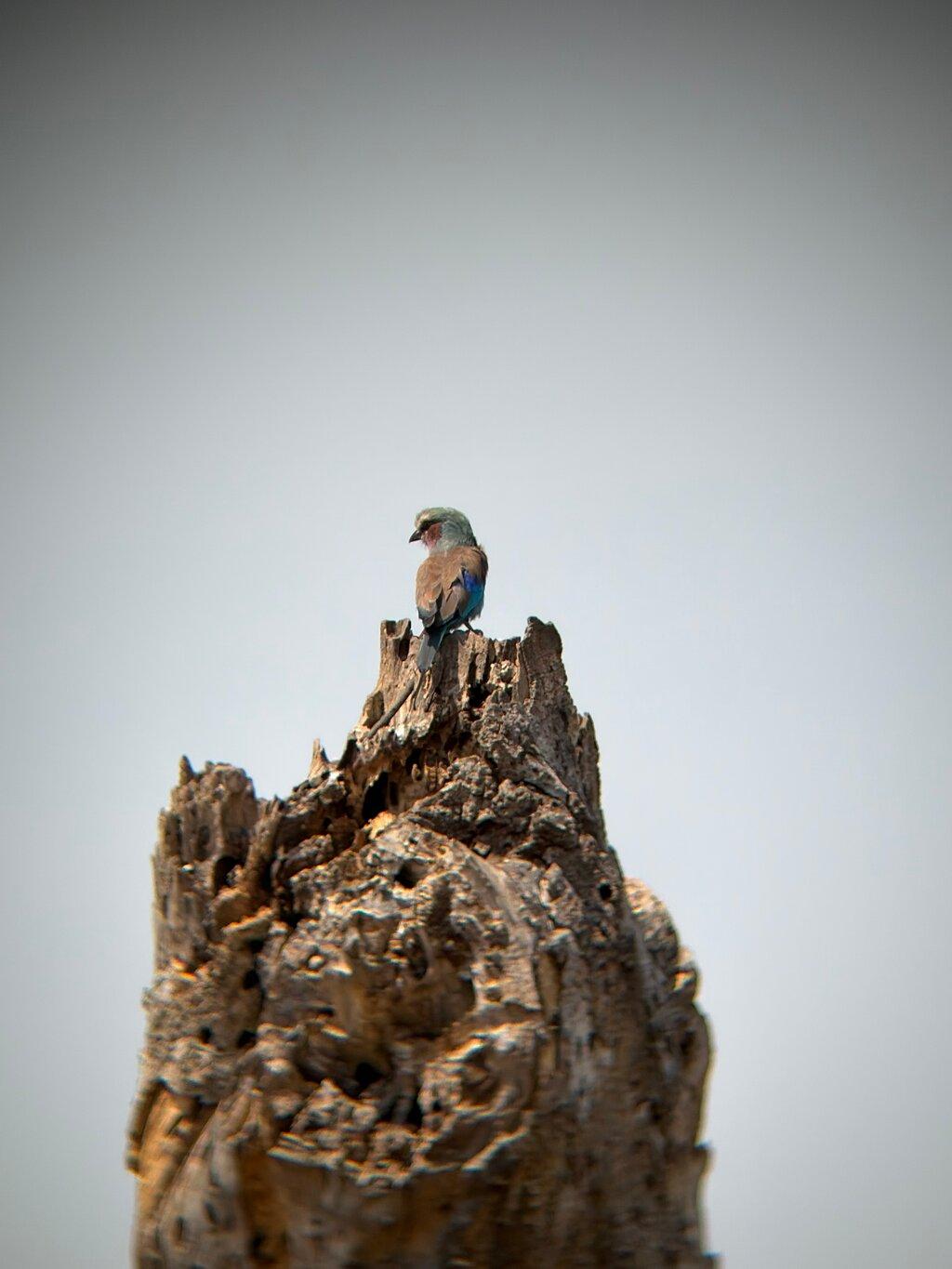 Review photo