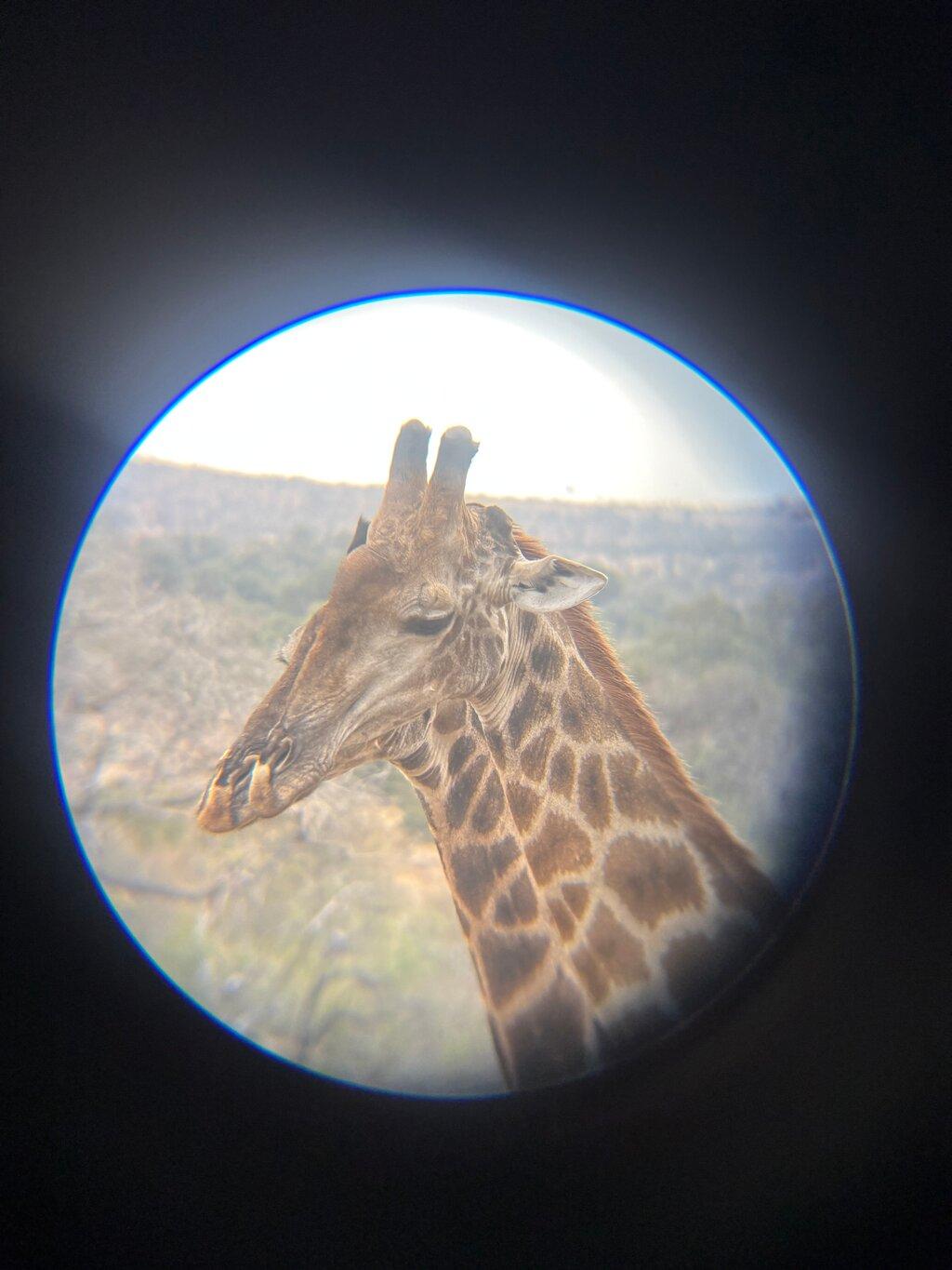 Review photo