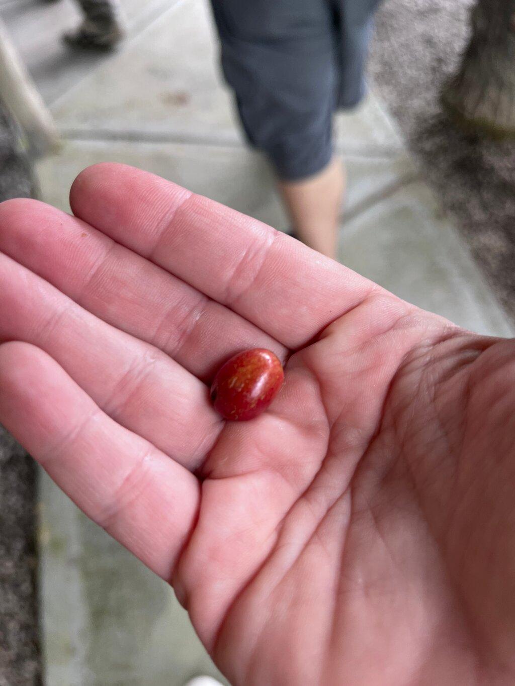 Review photo