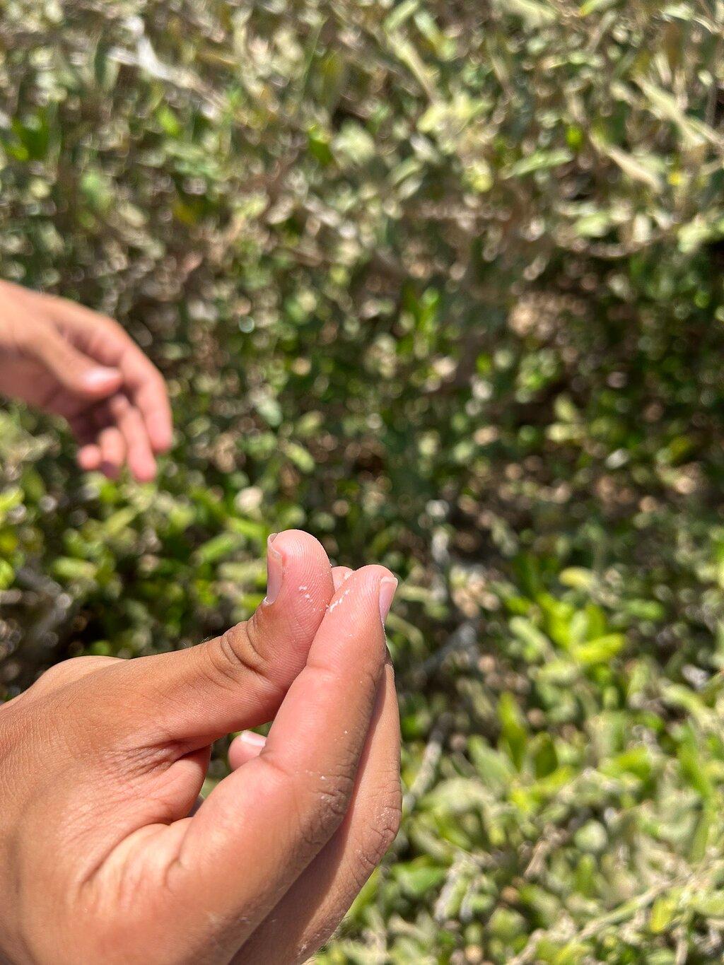 Review photo