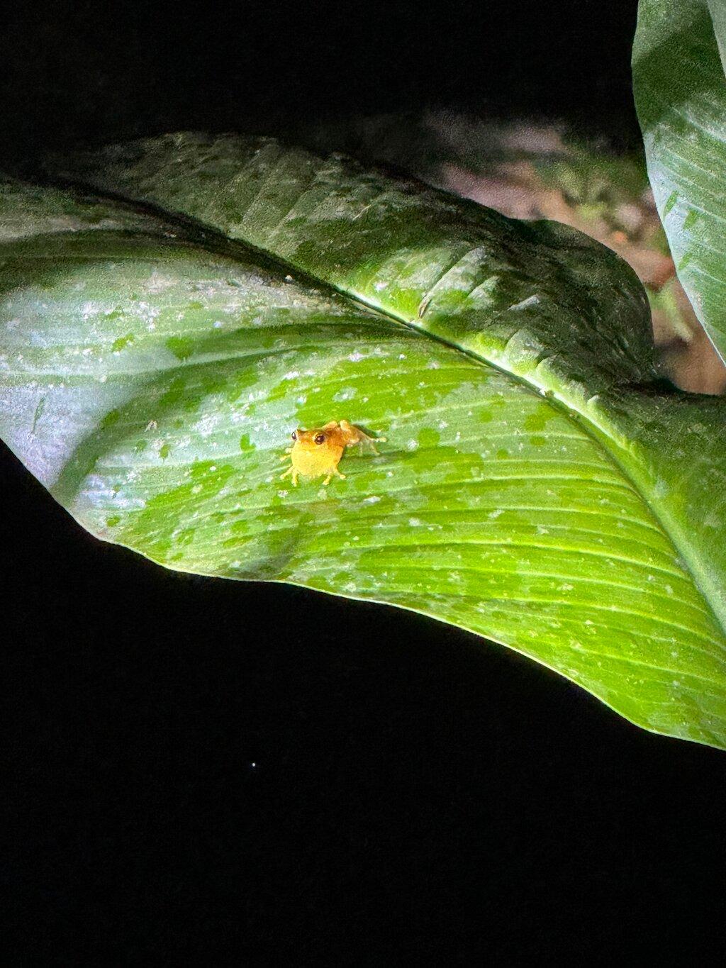 Review photo