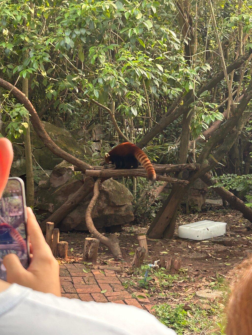 Review photo