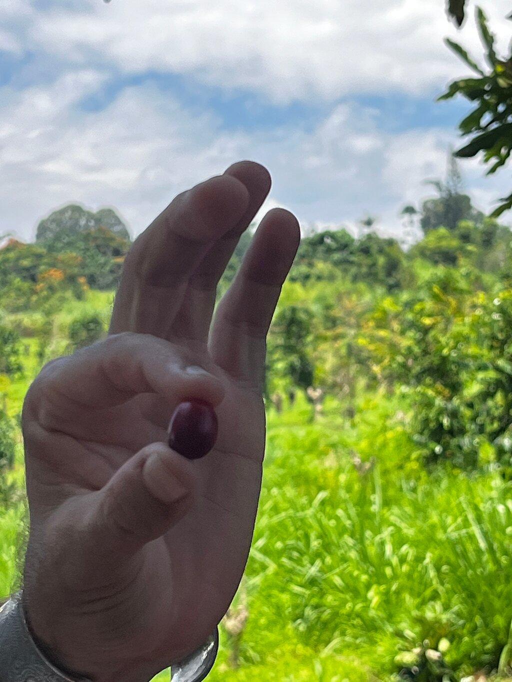 Review photo