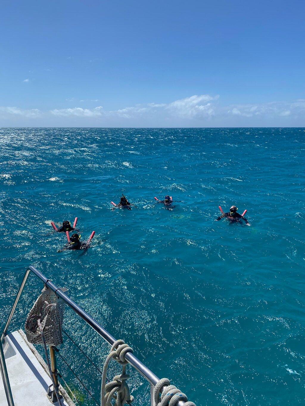 Review photo