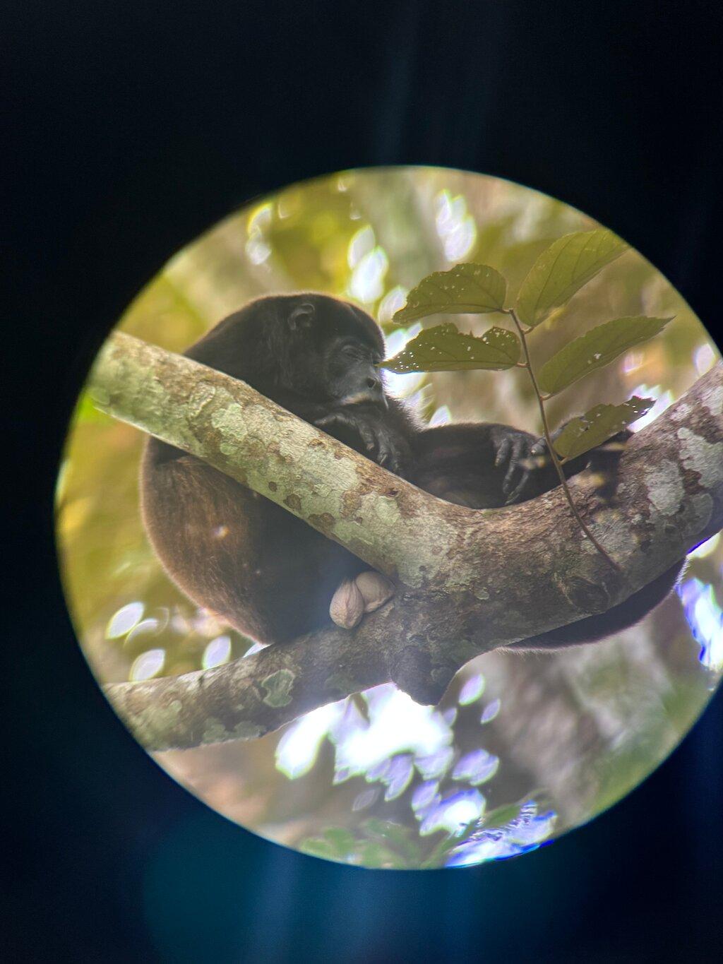 Review photo