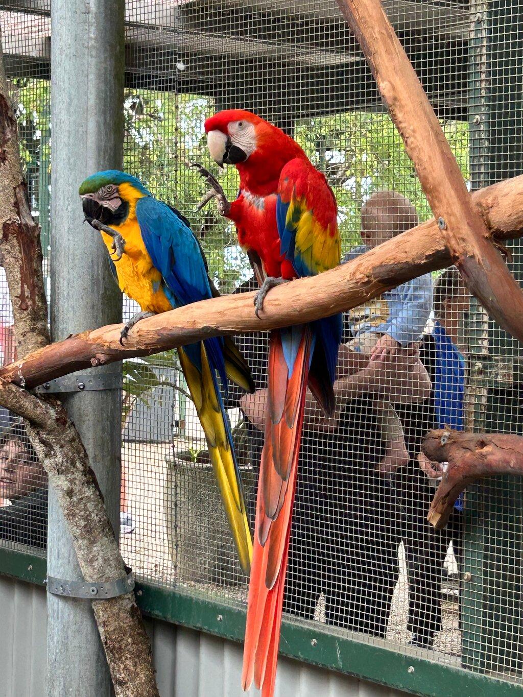 Review photo