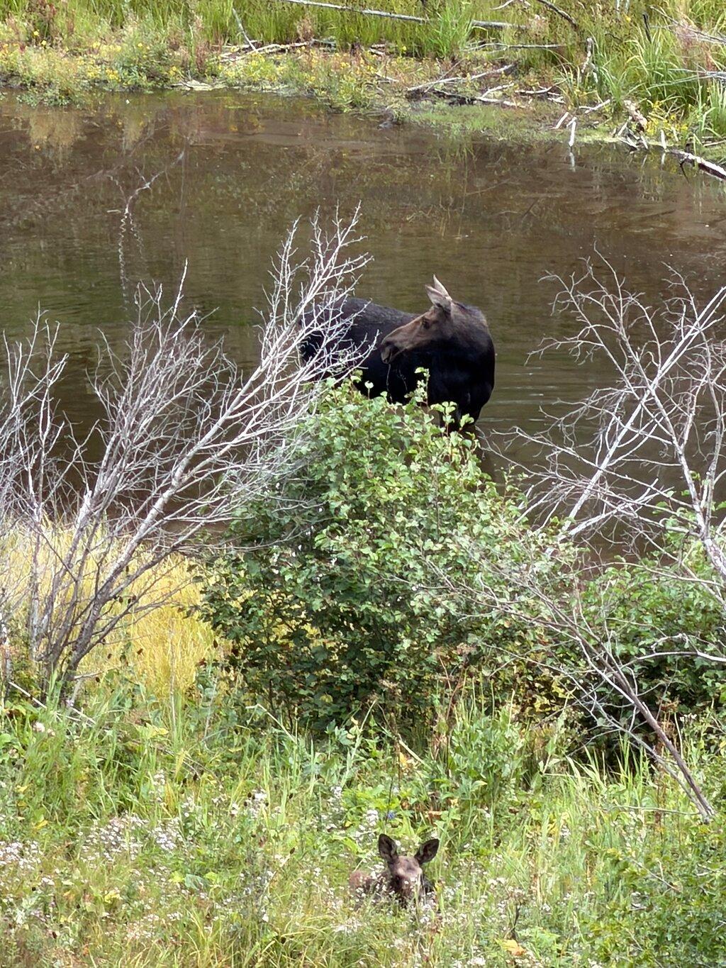 Review photo