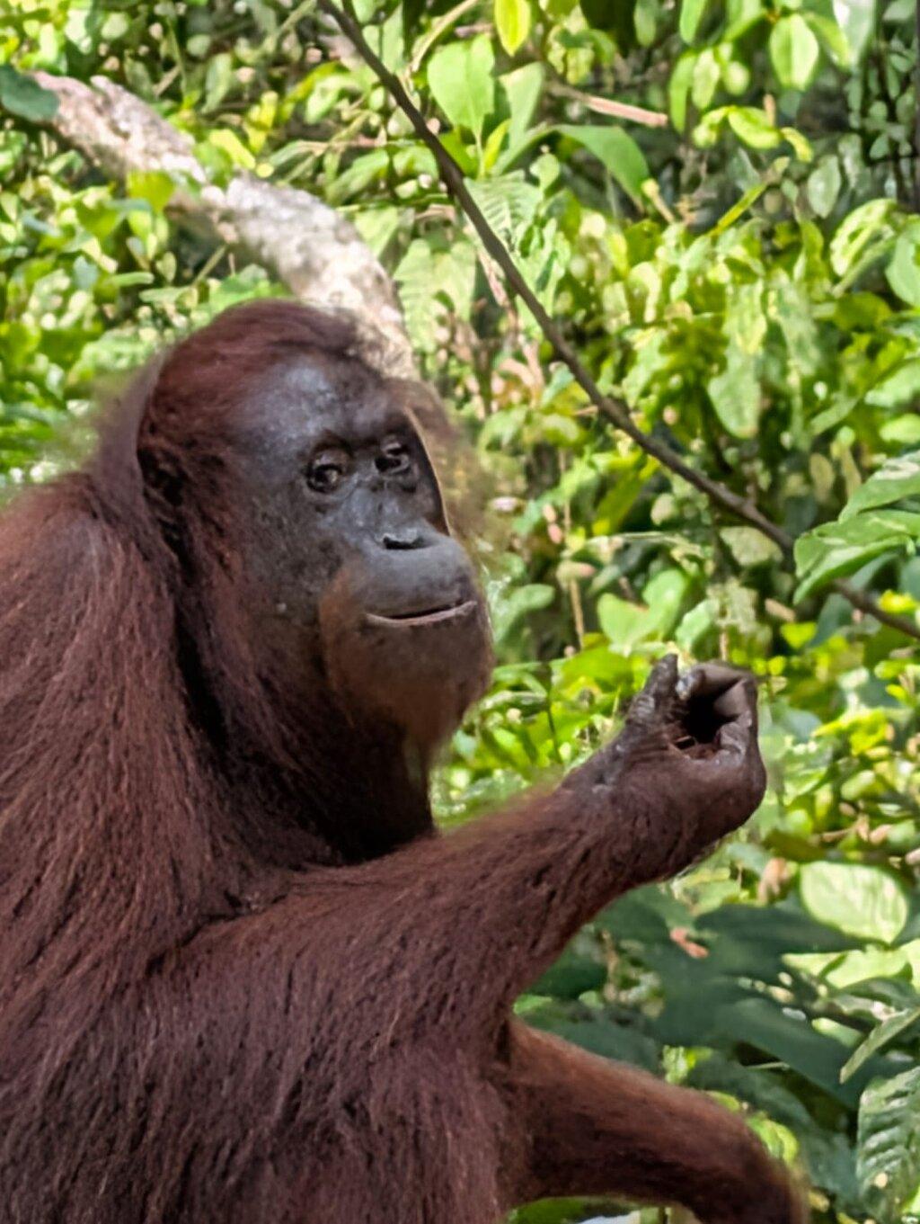 Review photo