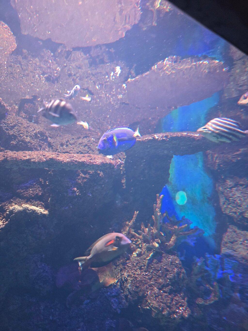 Review photo