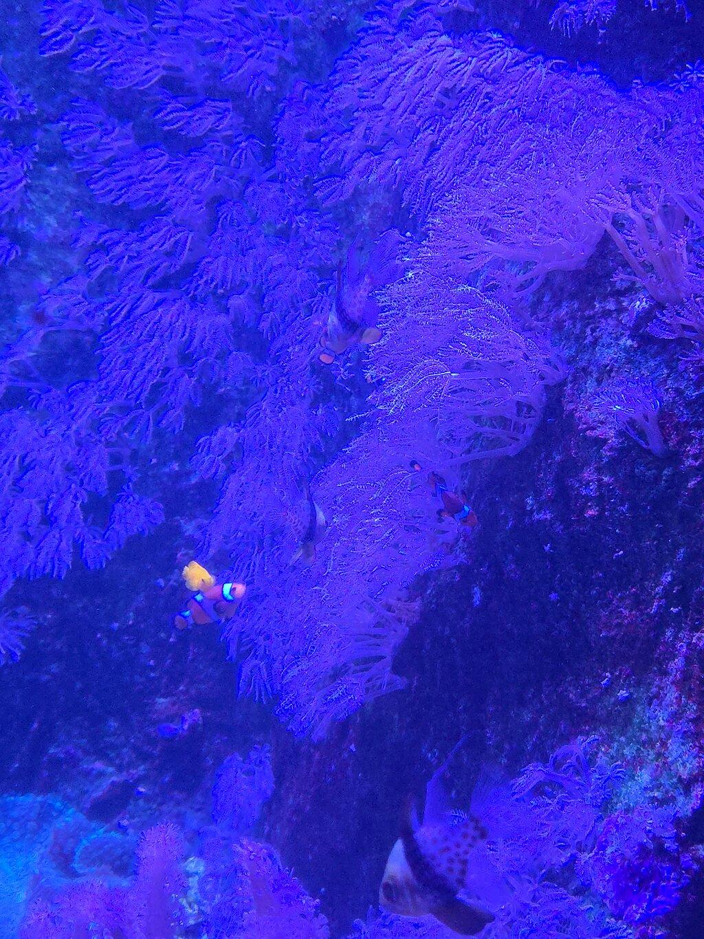Review photo