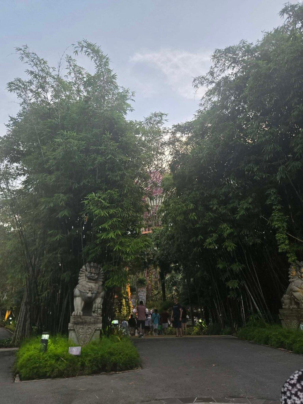 Review photo