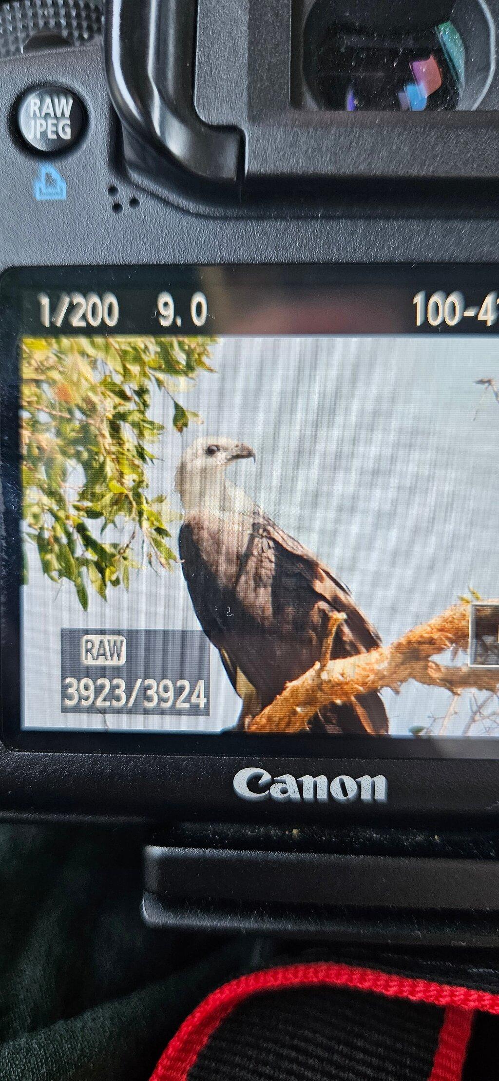 Review photo