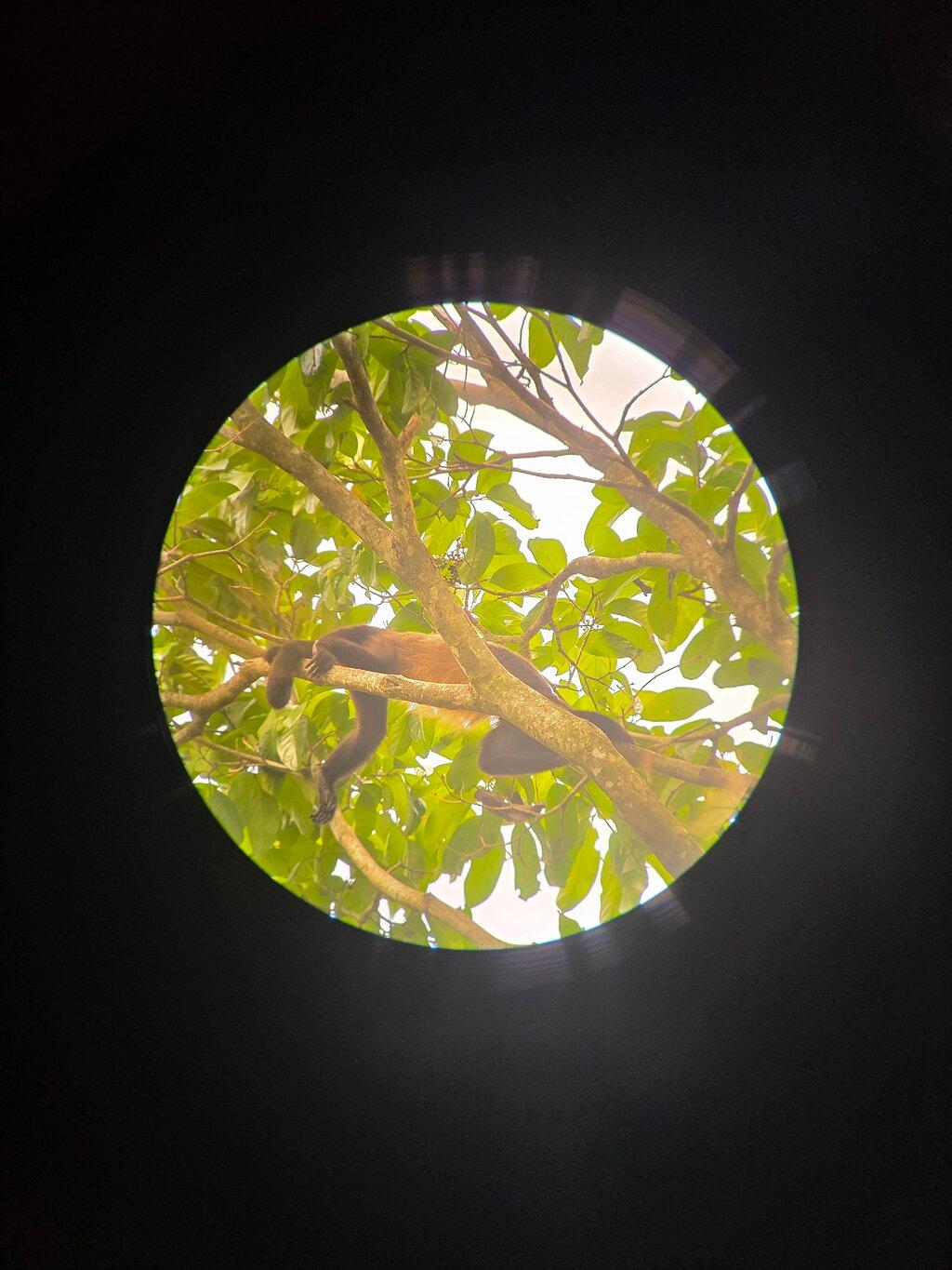 Review photo
