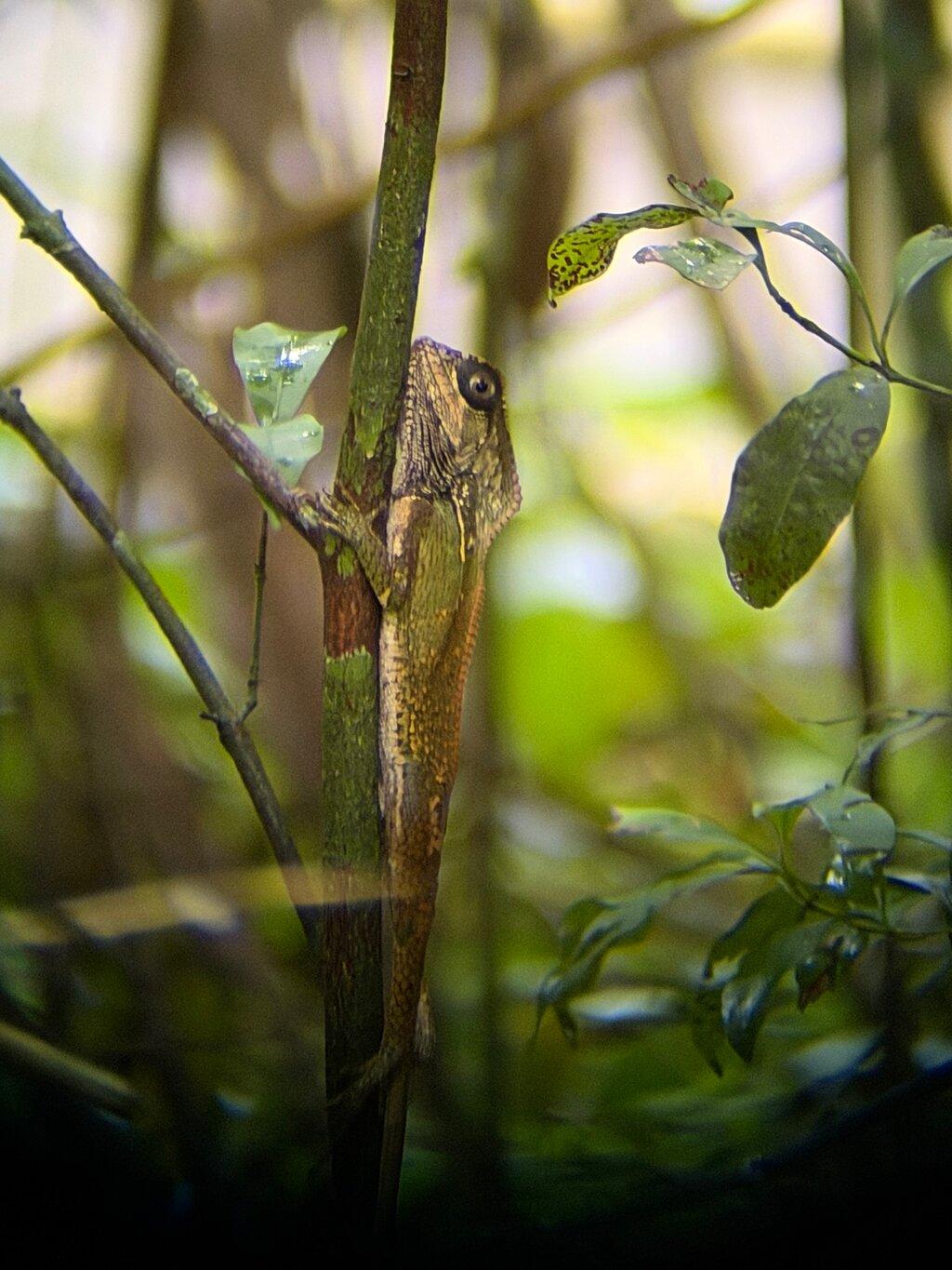Review photo