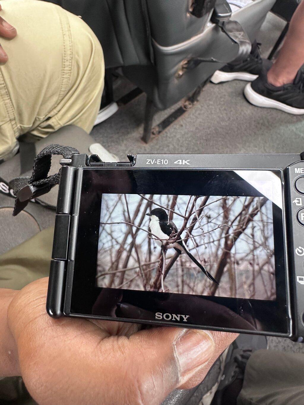 Review photo