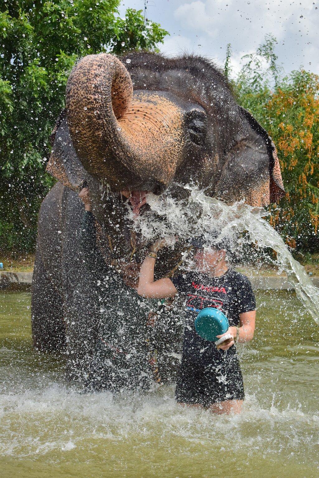Review photo