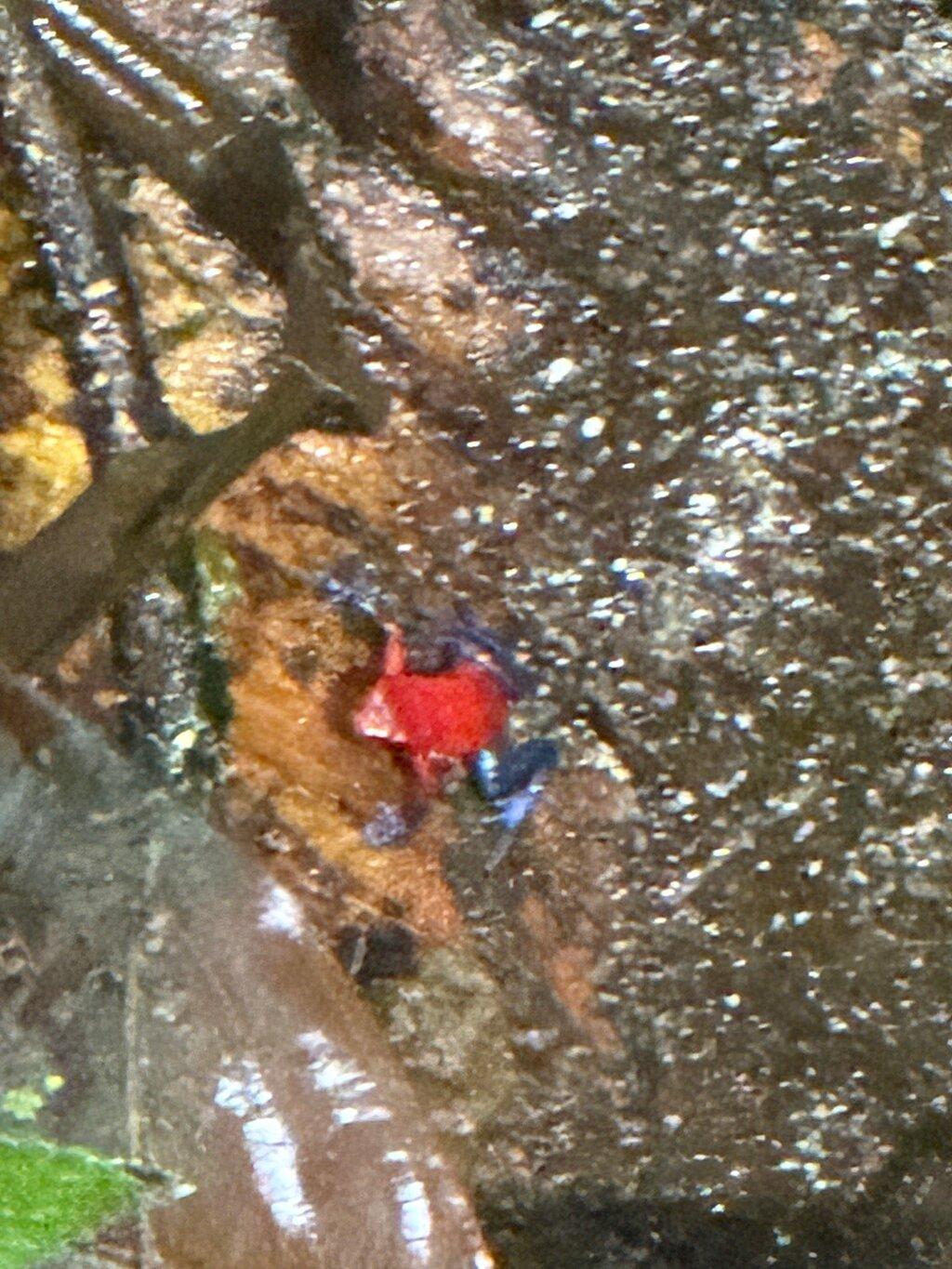 Review photo