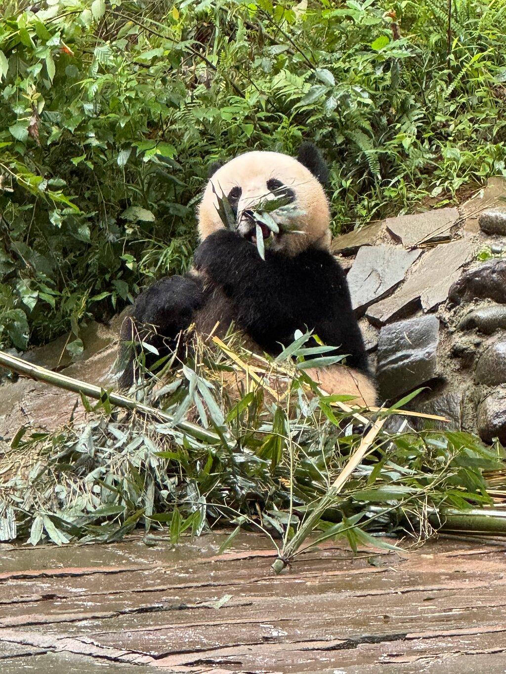 Review photo