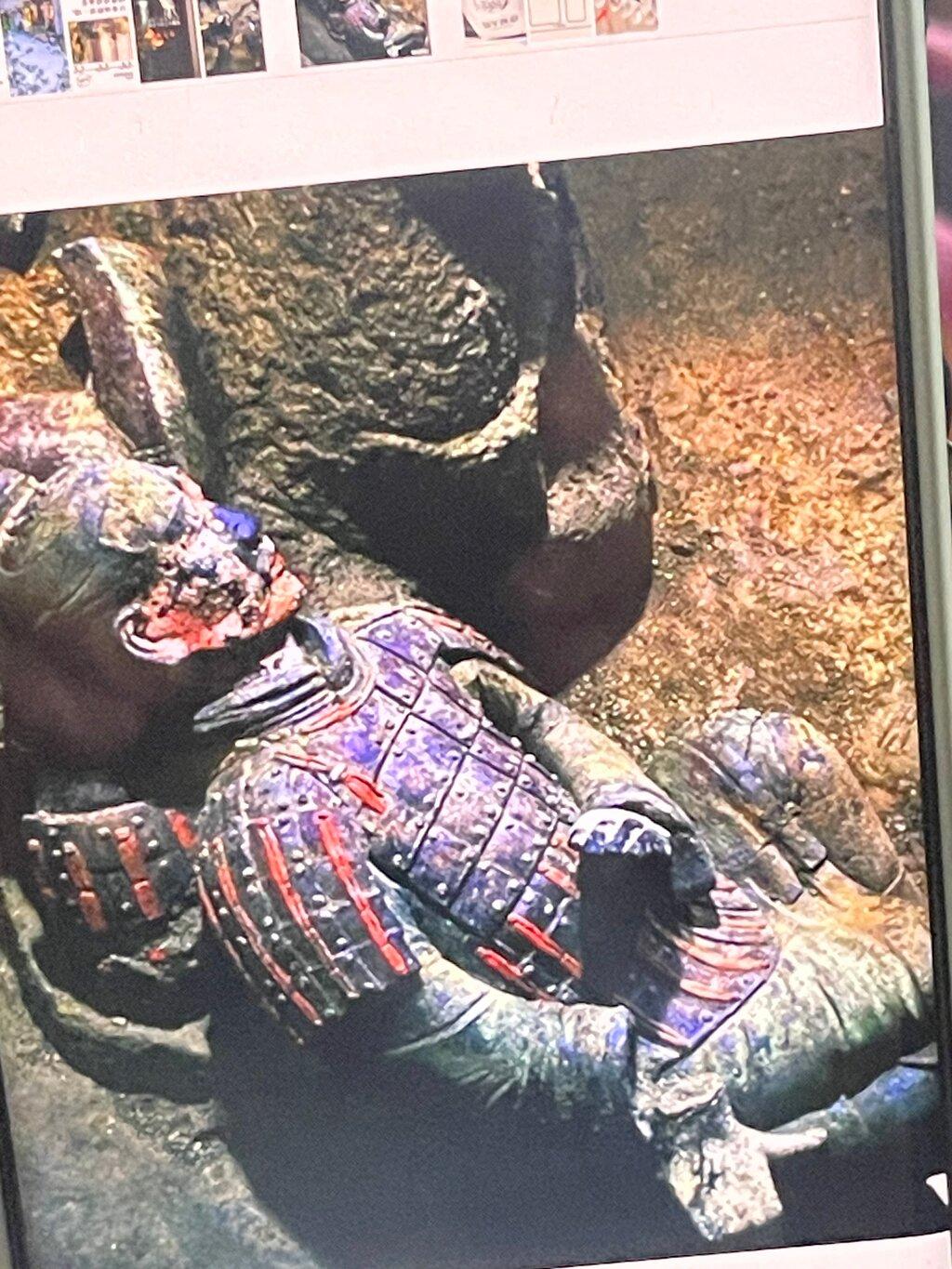 Review photo