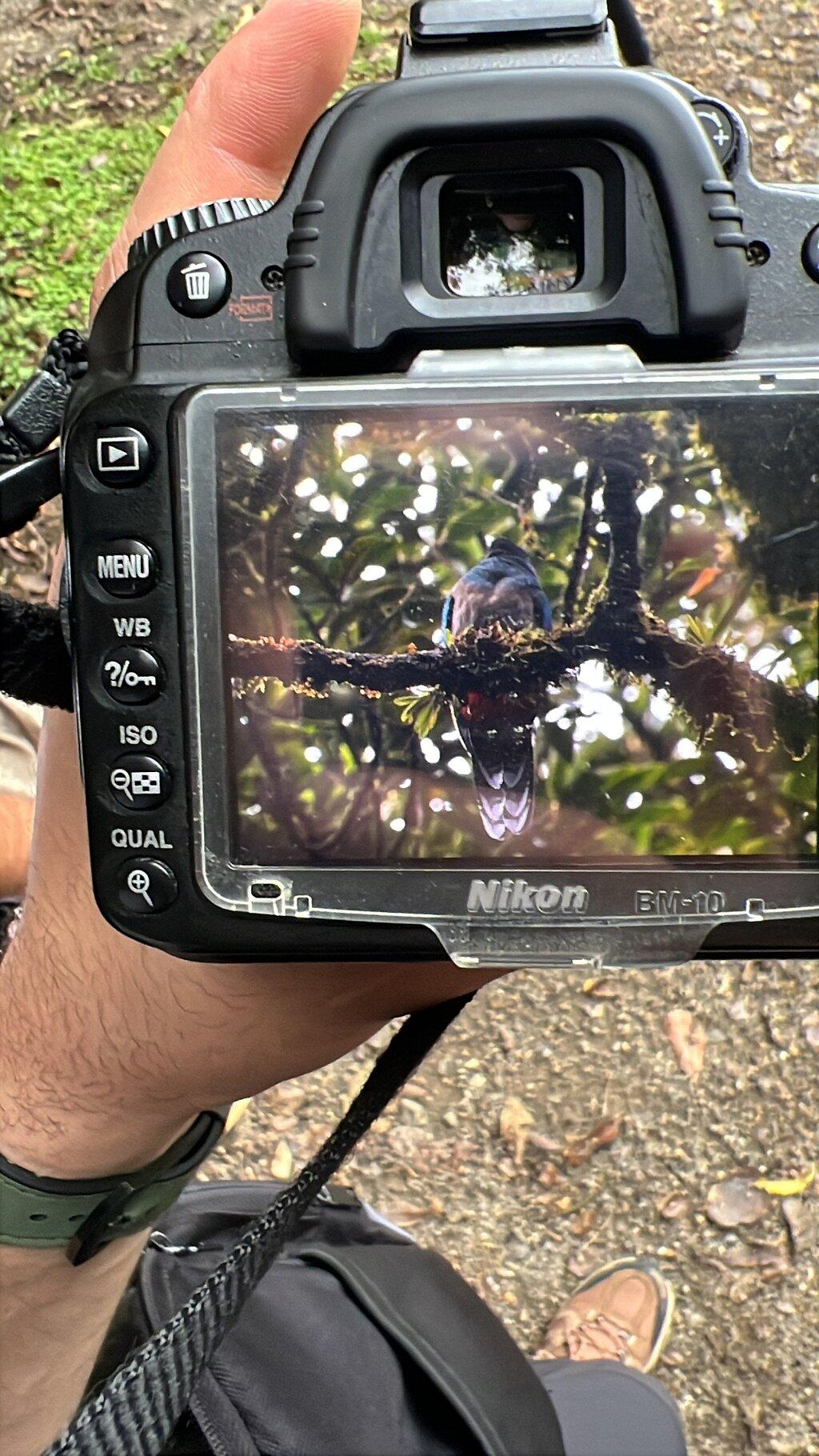 Review photo