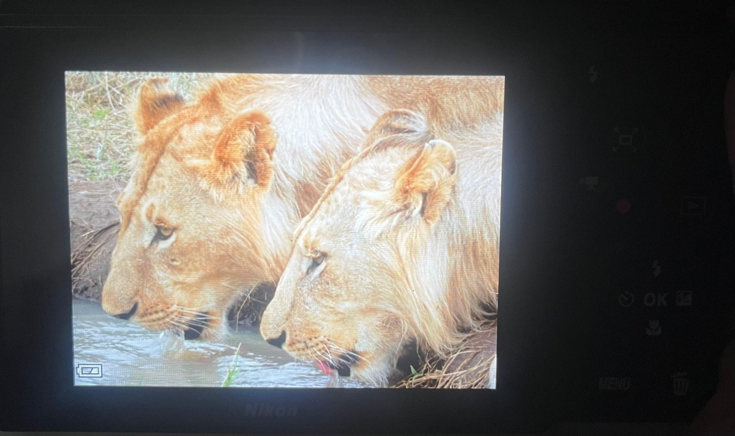 Review photo