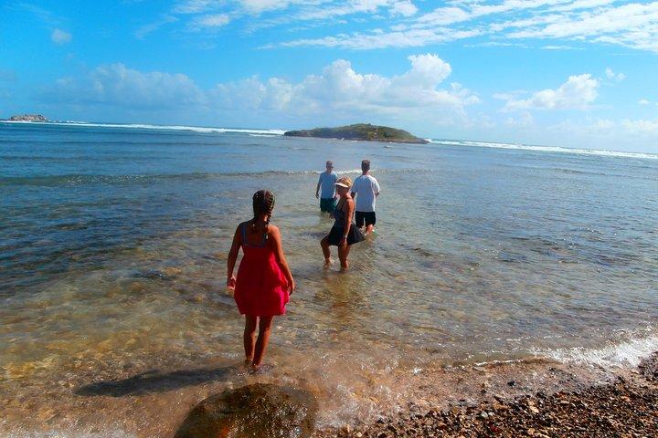 Privat Customizable Island Sightseeing Tour i St Maarten