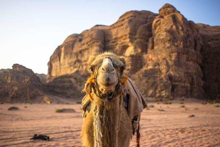 Wochenendausflug nach Jordanien