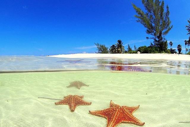 Coral Gardens
