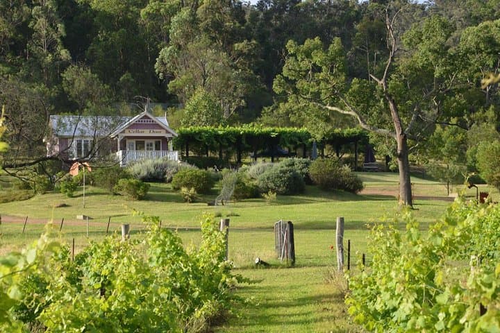 Chef-Led Hunter Valley Gourmet Food and Wine Day Tour from Sydney