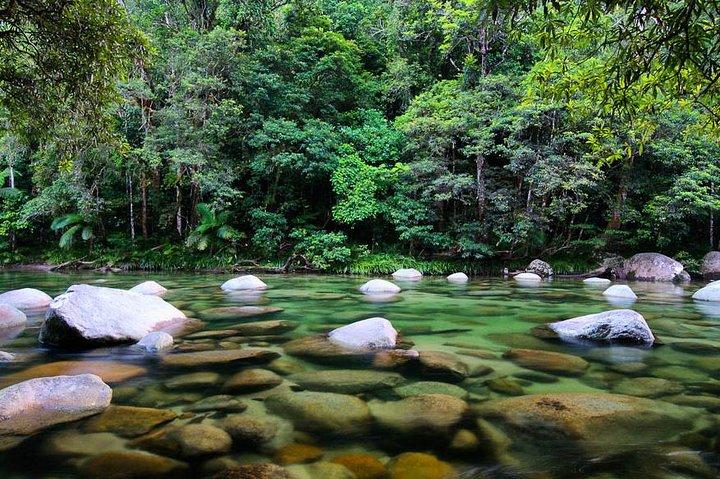 Von Cairns : Cooktown, Daintree & Outback 3-tägige Tour in kleiner Gruppe