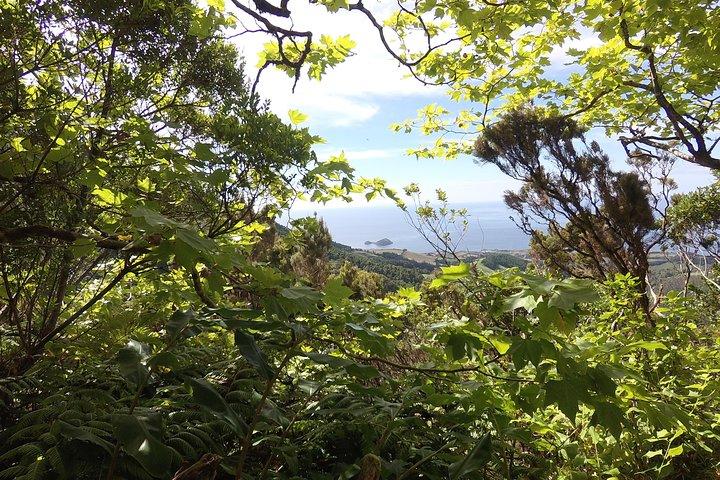 Lagoa do Fogo Visite à pied avec déjeuner de Ponta Delgada