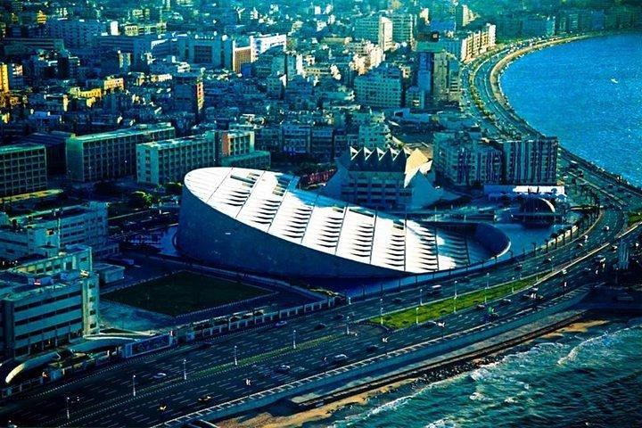 Explore o tesouro de Alexandria com guia particular, transporte e almoço